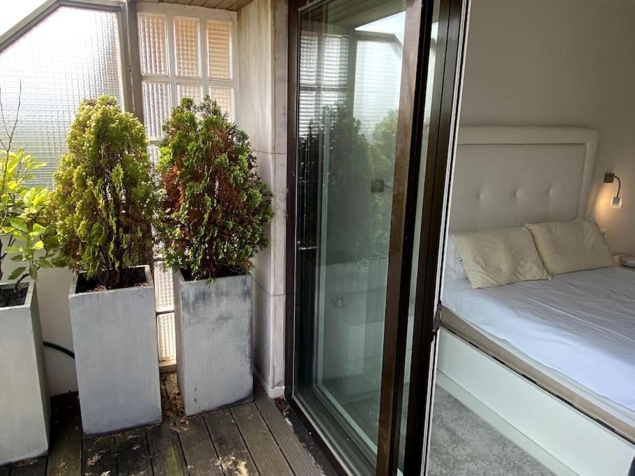 شقة Avenida Vt - Vivienda Turistica سان سيباستيان المظهر الخارجي الصورة
